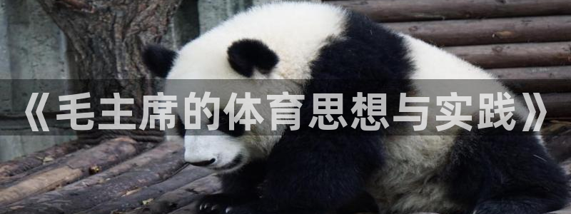 劲爆体育是几台