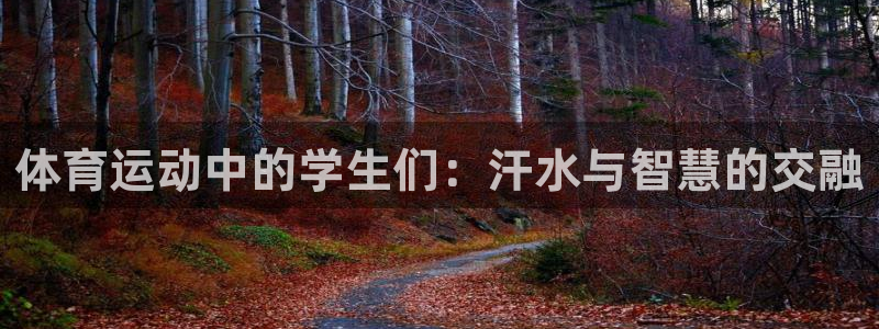 劲爆体育app官网下载：体育运动中的学生们：汗水与智慧的交融