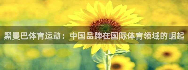 劲爆体育 官网：黑曼巴体育运动：中国品牌在国际体育领域的崛起