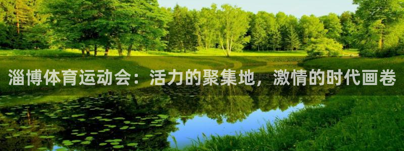 劲爆体育下载软件：淄博体育运动会：活力的聚集地，激情的时代画卷