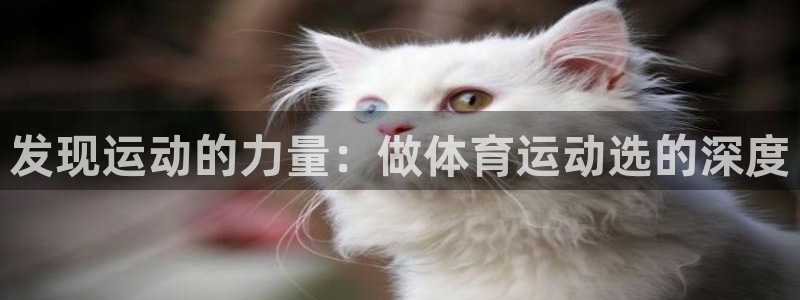 劲爆体育nba今天的比赛视频